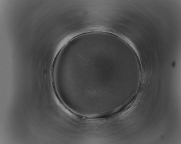 X0000089921389200707061010