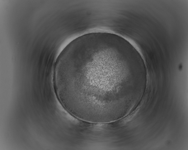 X0000089921390200707061010