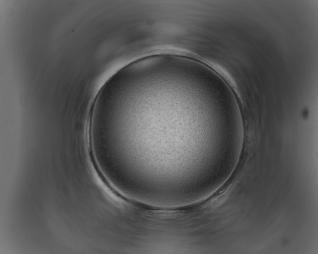 X0000089921391200707061010