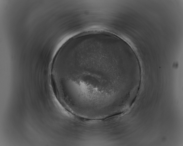 X0000089921392200707061010
