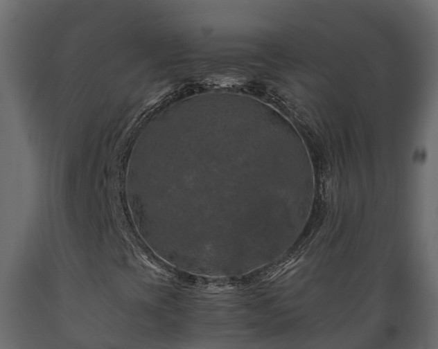 X0000089921393200707061010