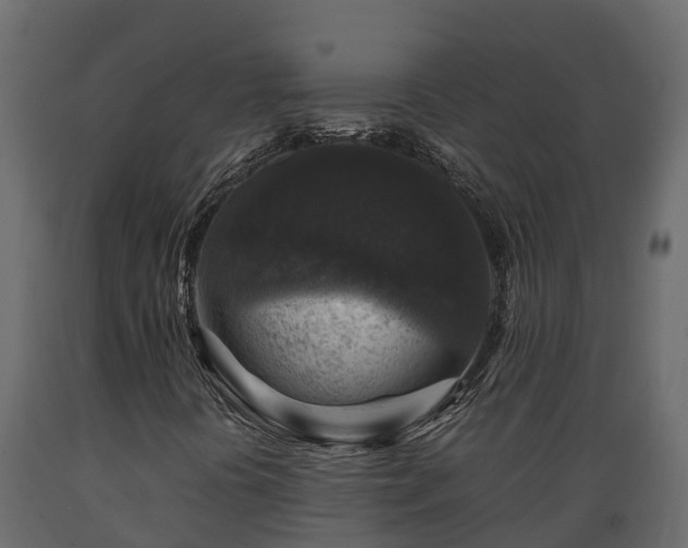X0000089921394200707061010
