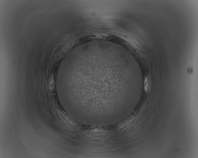 X0000089921395200707061010