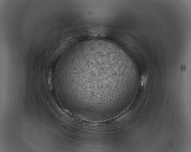 X0000089921396200707061010