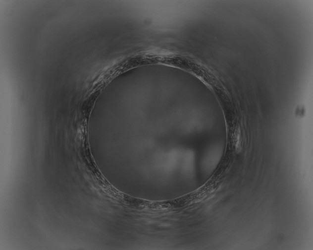 X0000089921397200707061010