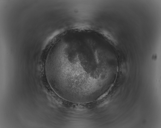 X0000089921398200707061010