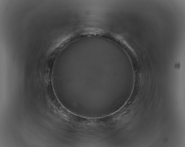 X0000089921399200707061010