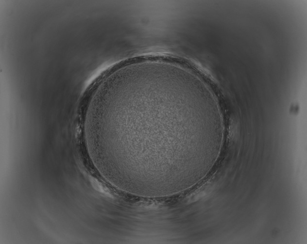 X0000089921400200707061010
