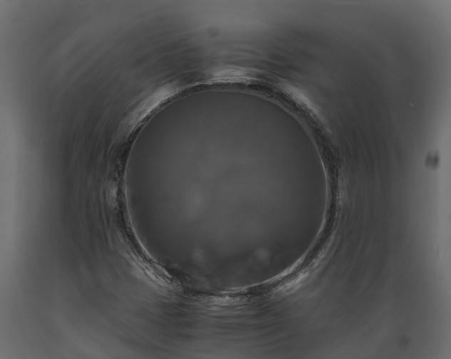 X0000089921401200707061010