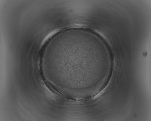 X0000089921402200707061010