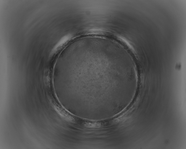 X0000089921403200707061010