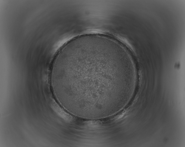 X0000089921404200707061010