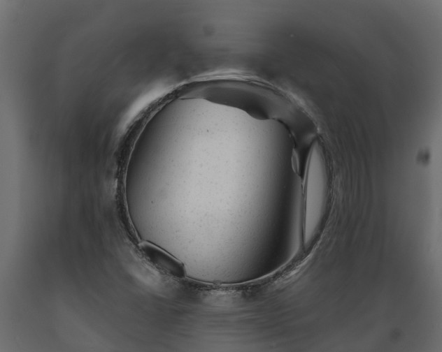 X0000089921406200707061010