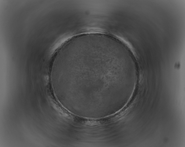 X0000089921407200707061010