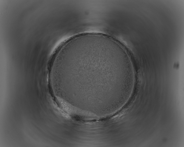 X0000089921408200707061010
