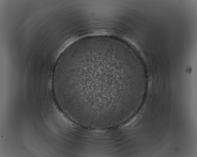 X0000089921409200707061010