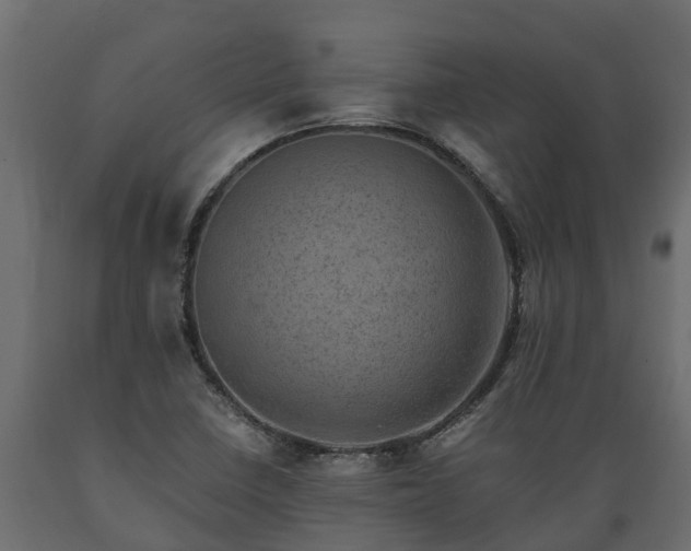 X0000089921410200707061010