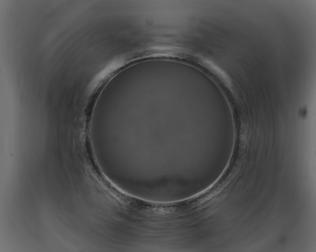 X0000089921411200707061010