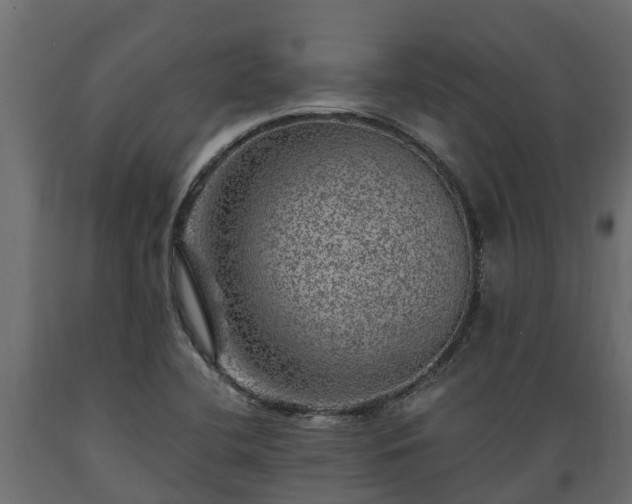 X0000089921412200707061010