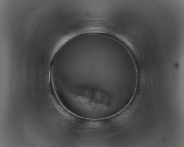 X0000089921413200707061010