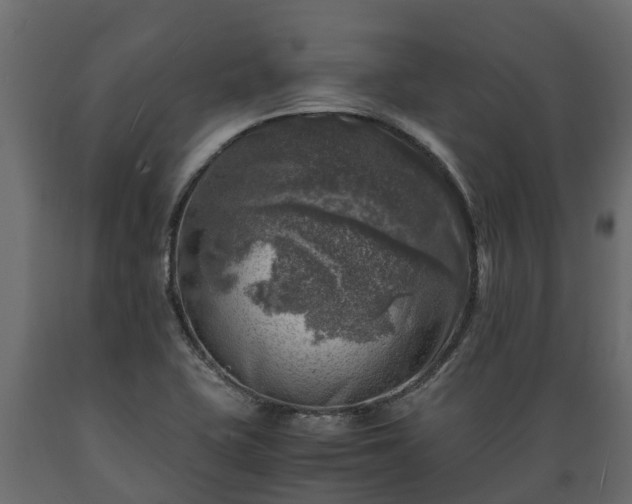 X0000089921415200707061010