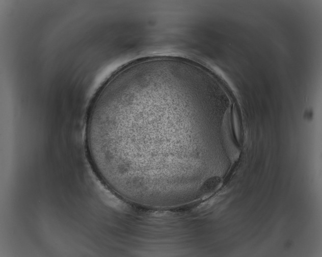 X0000089921416200707061010
