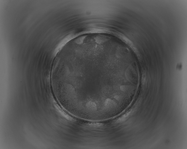 X0000089921417200707061010