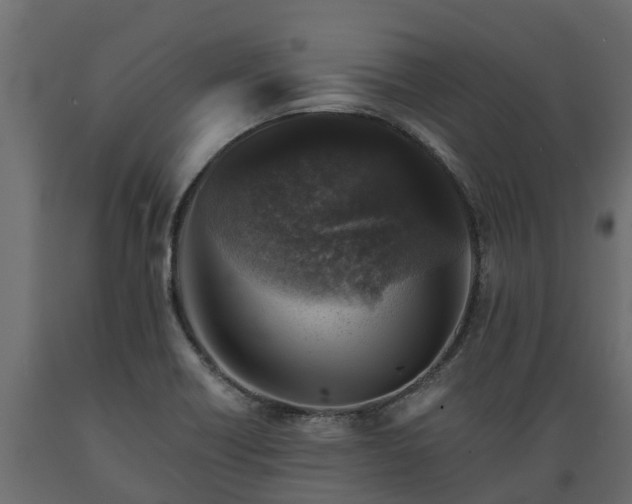 X0000089921418200707061010