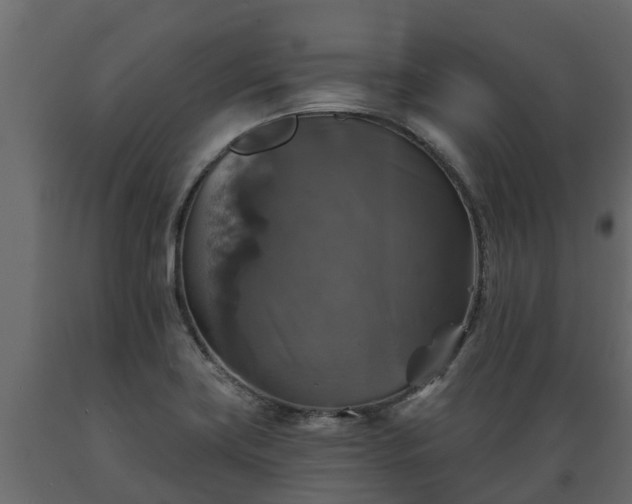 X0000089921419200707061010