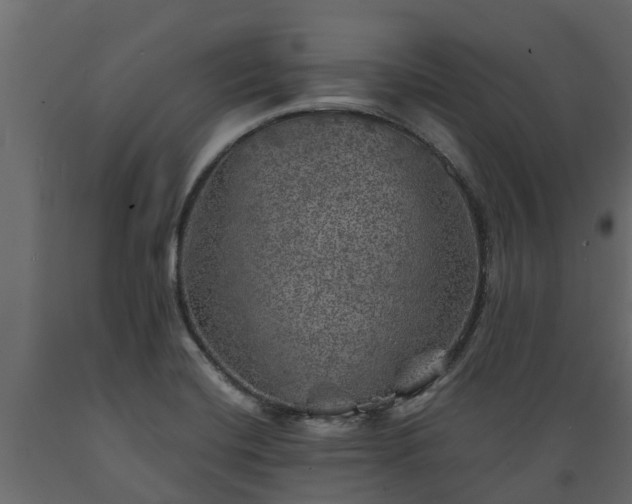 X0000089921420200707061010