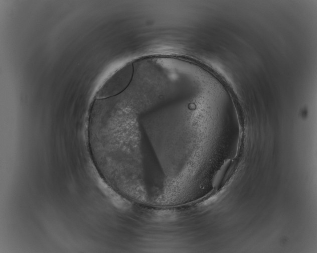 X0000089921421200707061010