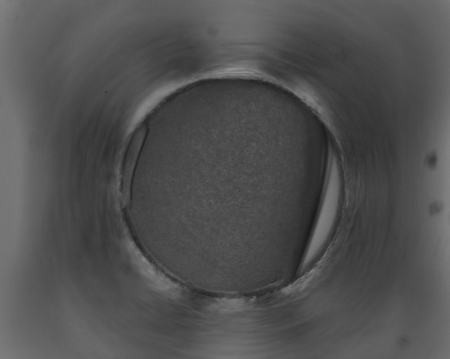 X0000089921422200707061010