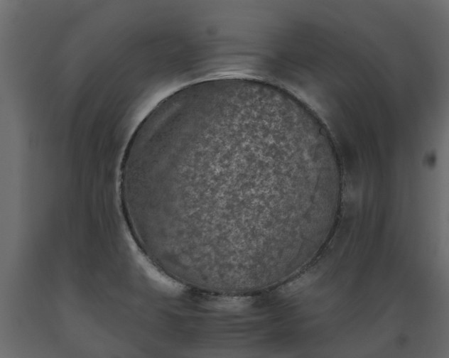 X0000089921423200707061010