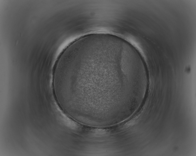 X0000089921424200707061010