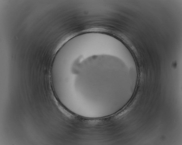X0000089921425200707061010