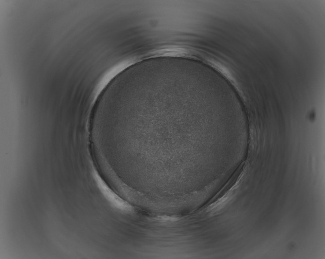 X0000089921426200707061010