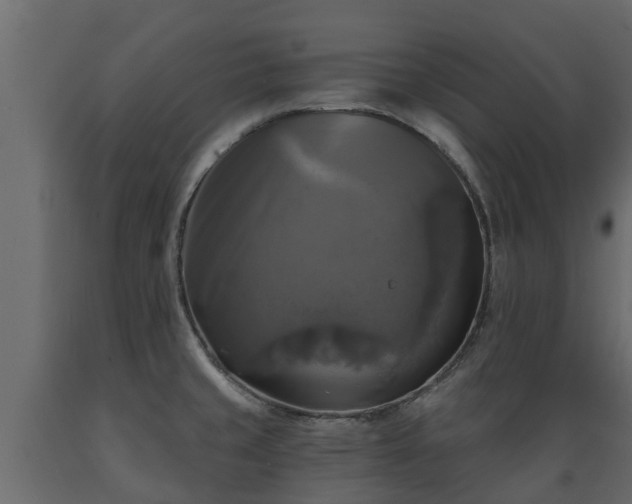 X0000089921429200707061010