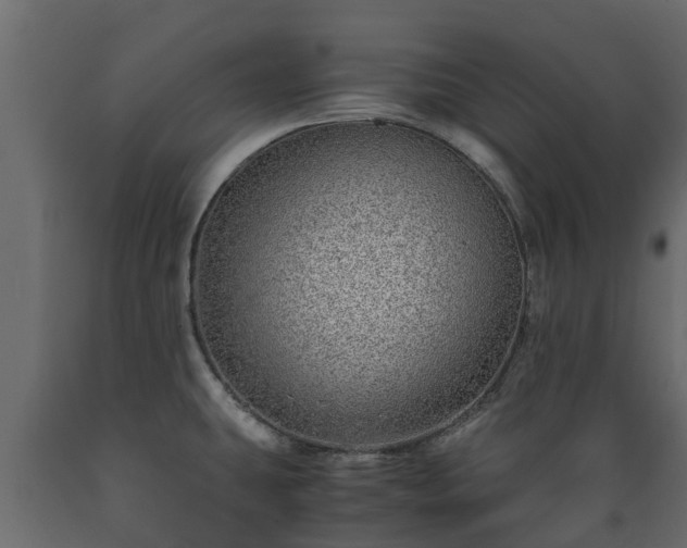 X0000089921431200707061010