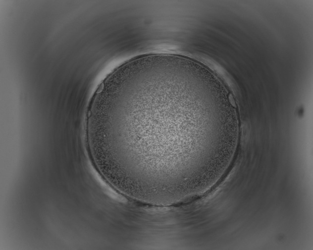 X0000089921432200707061010