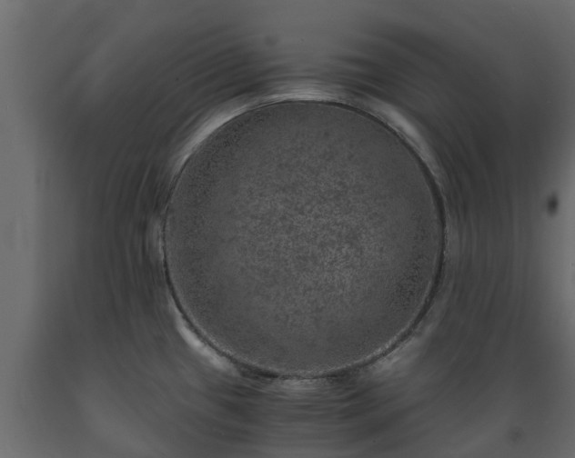 X0000089921433200707061010