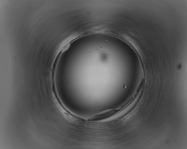 X0000089921434200707061010