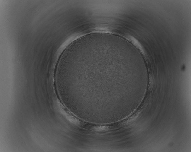 X0000089921435200707061010