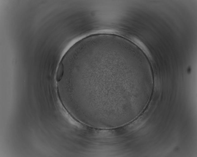 X0000089921436200707061010