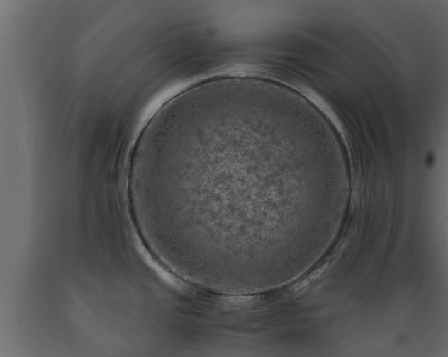 X0000089921437200707061010