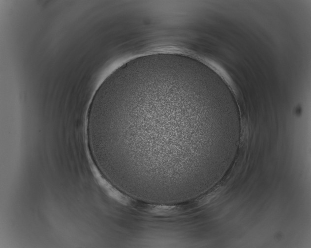 X0000089921439200707061010