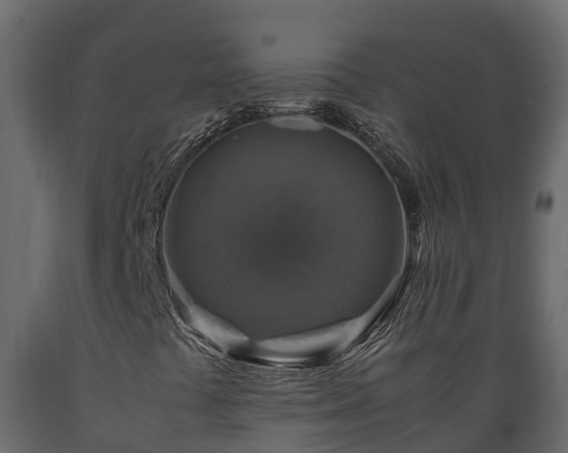 X0000089921441200707061010