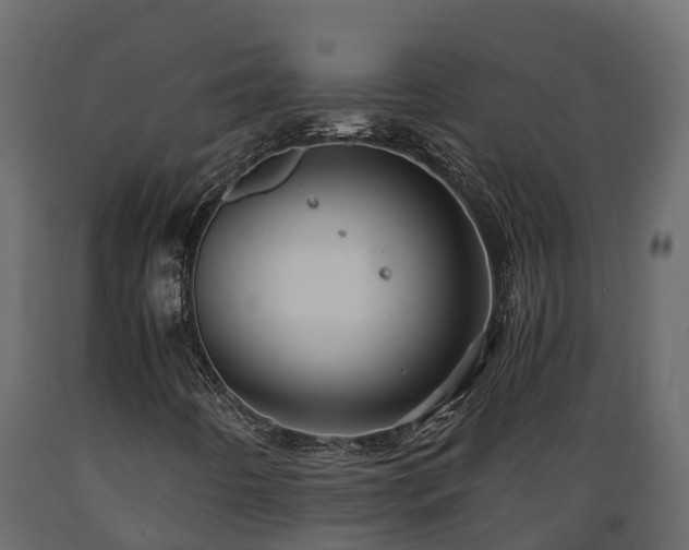 X0000089921442200707061010