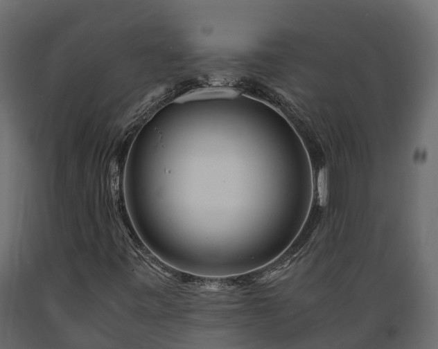 X0000089921443200707061010