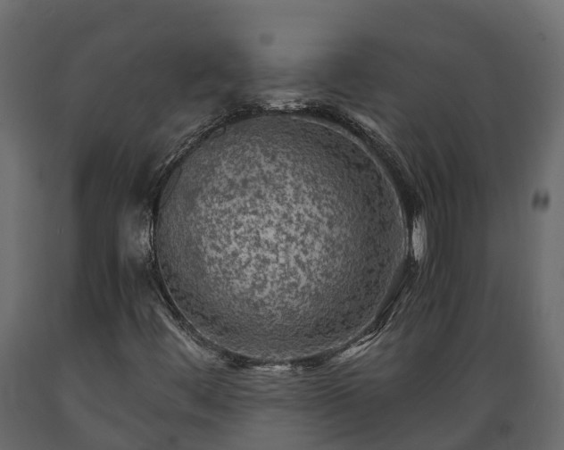 X0000089921444200707061010