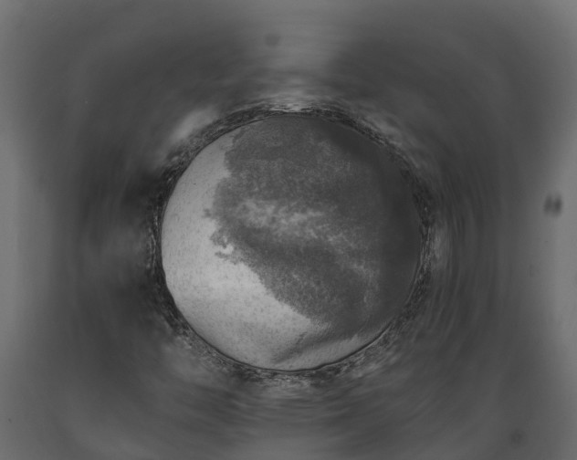 X0000089921446200707061010